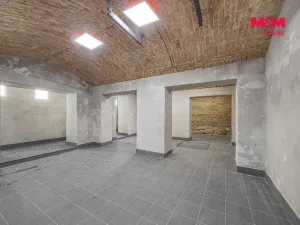 Prodej komerční nemovitosti, Praha, Seifertova, 110 m2