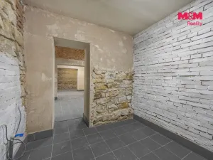 Prodej komerční nemovitosti, Praha, Seifertova, 110 m2