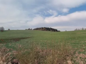 Prodej pozemku, Horní Planá - Žlábek, 47764 m2