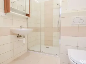 Pronájem bytu 1+kk, Olomouc, Horní lán, 24 m2