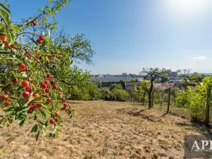 Prodej rodinného domu, Uherské Hradiště, Solná cesta, 150 m2