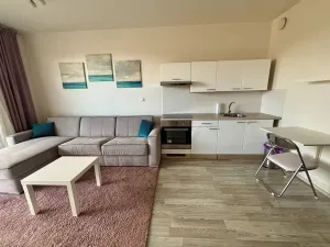 Pronájem bytu 1+kk, Praha - Letňany, Kadečkové, 30 m2