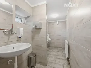 Prodej vícegeneračního domu, Hejnice, P. Bezruče, 802 m2