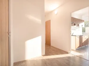 Prodej bytu 2+1, Ústí nad Labem - Střekov, Nová, 62 m2