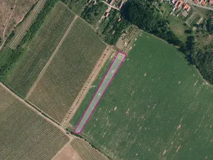 Prodej pole, Znojmo, 7141 m2