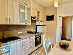 Pronájem bytu 1+1, Ostrava, Pionýrů, 40 m2
