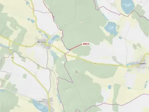 Dražba lesa, Český Rudolec, 2508 m2