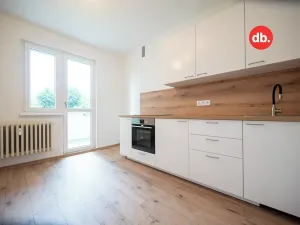 Pronájem bytu 2+1, Nová Role, Tovární, 59 m2