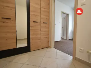 Pronájem bytu 2+kk, Ostrov, Karlovarská, 52 m2