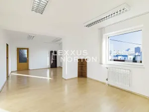 Pronájem rodinného domu, Praha - Lhotka, Slepá II, 273 m2