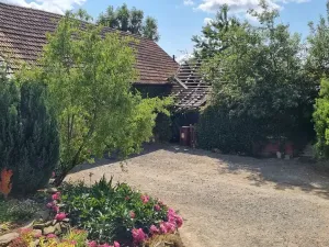 Prodej rodinného domu, Žďárná, 200 m2