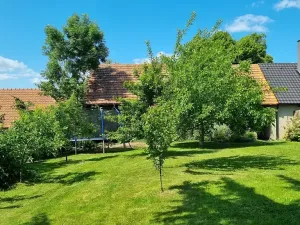 Prodej rodinného domu, Žďárná, 200 m2