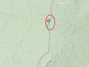 Prodej podílu lesa, Nová Hradečná, 6798 m2