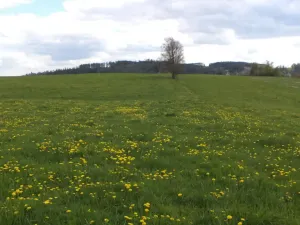 Prodej pozemku, Staré Město - Nová Véska, 10063 m2