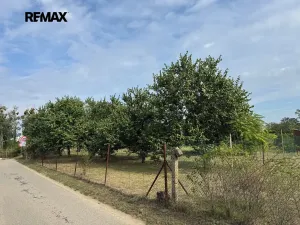 Prodej zahrady, Valtice, 1171 m2