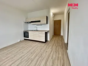 Prodej bytu 1+1, Chomutov, Kamenná, 36 m2