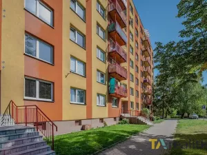 Prodej bytu 1+1, Orlová, Masarykova třída, 36 m2