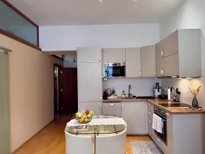 Prodej bytu 1+1, Praha - Vinohrady, Anny Letenské, 50 m2