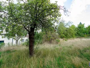 Pronájem zahrady, Plzeň - Radobyčice, 1624 m2