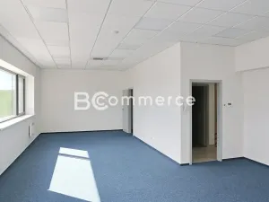 Pronájem skladu, Moravany, Průmyslová, 325 m2