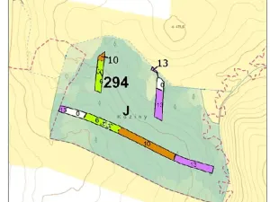 Prodej lesa, Hvozdec, 12572 m2