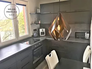 Pronájem bytu 2+1, Brno - Štýřice, Vídeňská, 52 m2