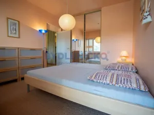 Prodej bytu 2+1, Písek, Čechova, 53 m2