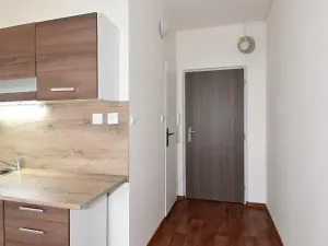 Prodej bytu 1+1, Chomutov, Písečná, 35 m2