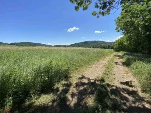 Prodej pole, Kájov - Křenov, 42289 m2
