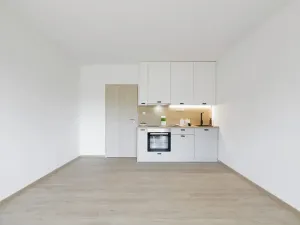 Pronájem bytu 1+kk, Slaný, Lázeňská, 34 m2