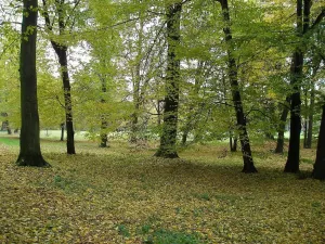 Prodej bytu 1+1, Kroměříž, Tovačovského, 34 m2