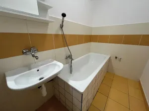 Pronájem bytu 1+kk, Třinec, Lidická, 44 m2