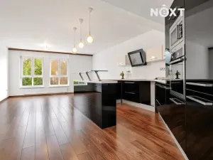 Prodej bytu 2+kk, České Budějovice, Rudolfovská tř., 96 m2