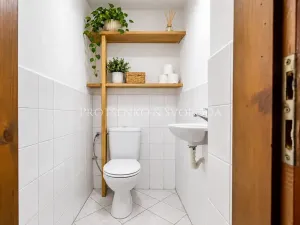 Prodej vícegeneračního domu, Jihlava, Brněnská, 300 m2