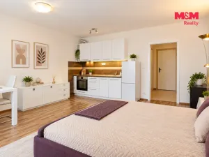 Prodej bytu 1+kk, Praha - Horní Měcholupy, Modenská, 36 m2