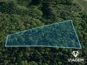 Prodej podílu lesa, Vizovice, 1886 m2
