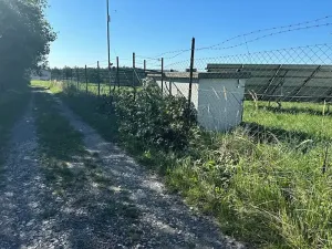 Prodej komerčního pozemku, Zhoř u Tábora, 11995 m2