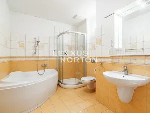 Pronájem bytu 3+kk, Praha - Nové Město, Masarykovo nábřeží, 92 m2