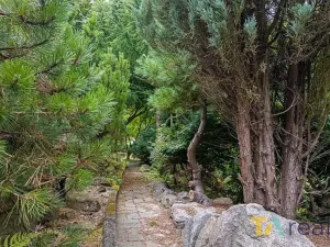 Prodej pozemku pro bydlení, Orlová, U Vodojemu, 2132 m2