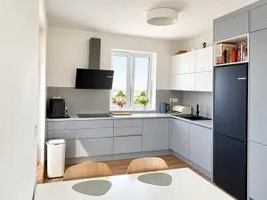 Prodej bytu 3+kk, Žamberk, Velký Hájek, 90 m2