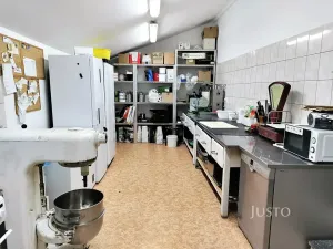 Prodej restaurace, Písek, Hradiště, 497 m2
