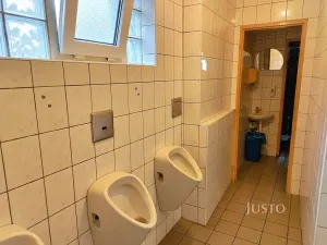 Prodej restaurace, Písek, Hradiště, 497 m2