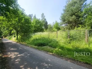 Prodej pozemku pro bydlení, Jetětice, 3152 m2