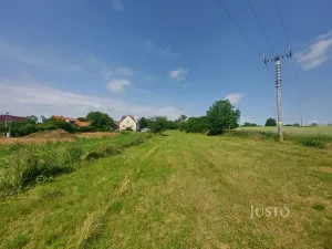 Prodej pozemku pro bydlení, Dražíč, 2918 m2