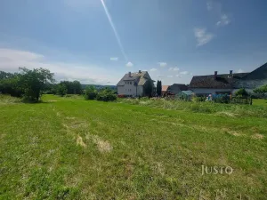 Prodej pozemku pro bydlení, Dražíč, 2918 m2