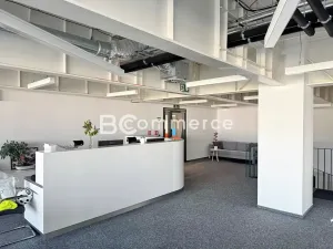 Pronájem kanceláře, Brno, Lazaretní, 380 m2