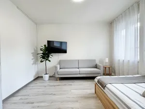 Prodej bytu 1+1, Ostrava, Bohumínská, 27 m2