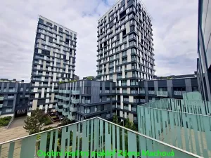 Pronájem bytu 1+kk, Praha - Žižkov, Olšanská, 40 m2