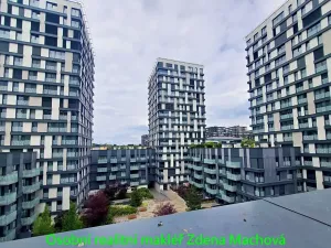 Pronájem bytu 1+kk, Praha - Žižkov, Olšanská, 40 m2