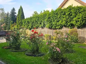 Prodej rodinného domu, Hradešín, 82 m2